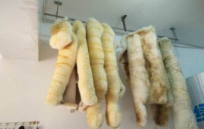 專業(yè)清洗汽車坐墊技術(shù)轉(zhuǎn)讓 陽泉車載產(chǎn)品技術(shù)轉(zhuǎn)讓方案