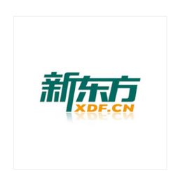 從課堂走向職場 行政管理類實習的多維探索與成長啟示